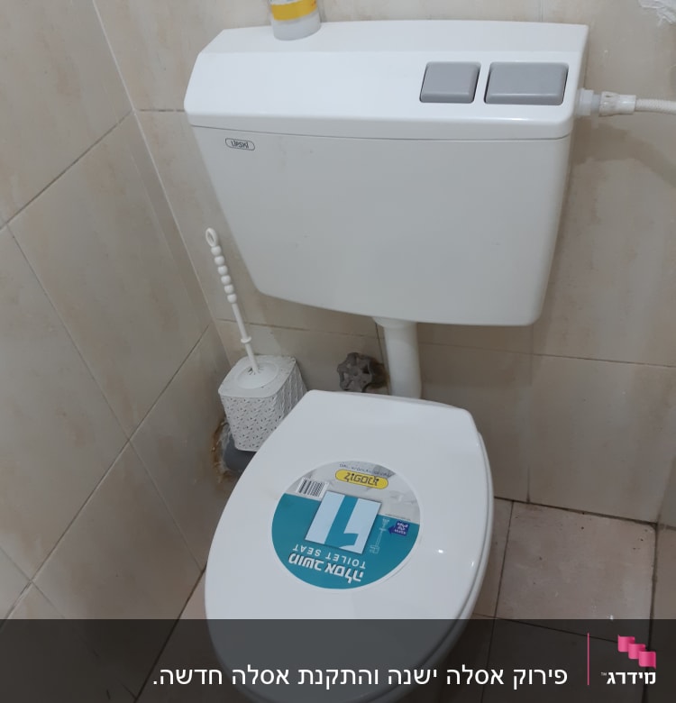 אסלה עם מדבקה, מיכל הדחה ושירותים